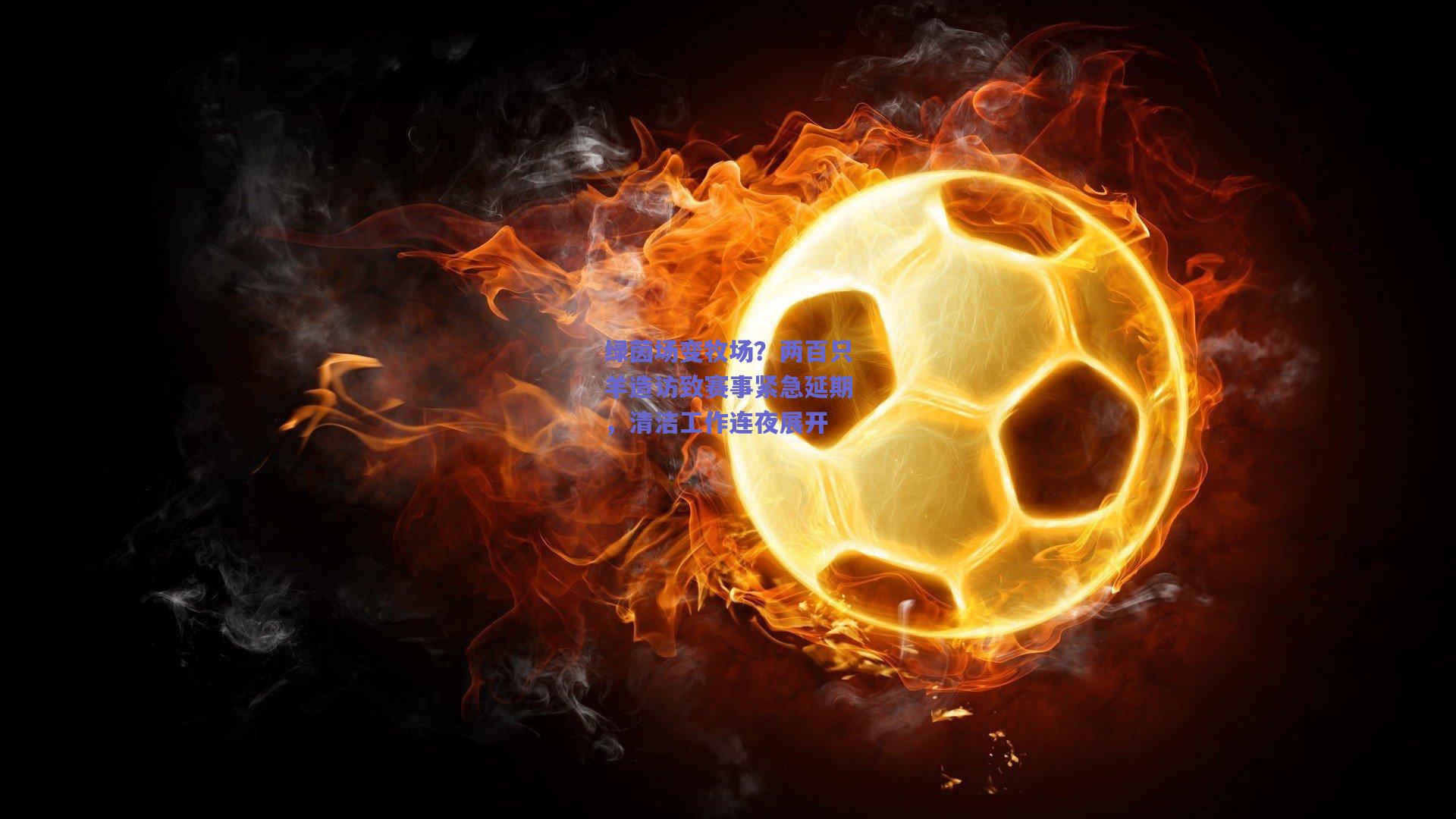 绿茵场变牧场？两百只羊造访致赛事紧急延期，清洁工作连夜展开